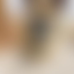 愛護センターから保護犬を引き取りました!
