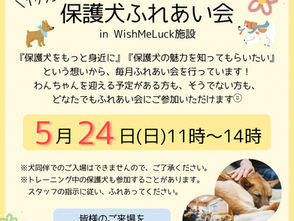 【イベントのお知らせ📣】