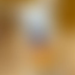 ふみちゃんの里親募集を開始しました❗️