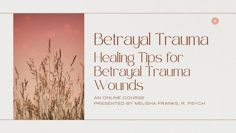 Dried flowers with a sunset background