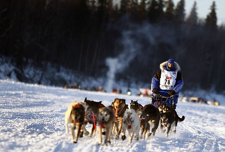 개썰매 본부 (Iditarod) (3).jpg