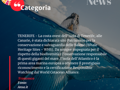 I Grandi animali da proteggere - Uniti Verso la Meta News