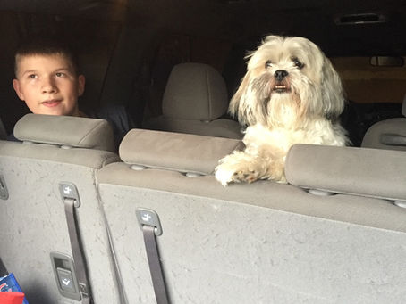 Minivan Sanctification