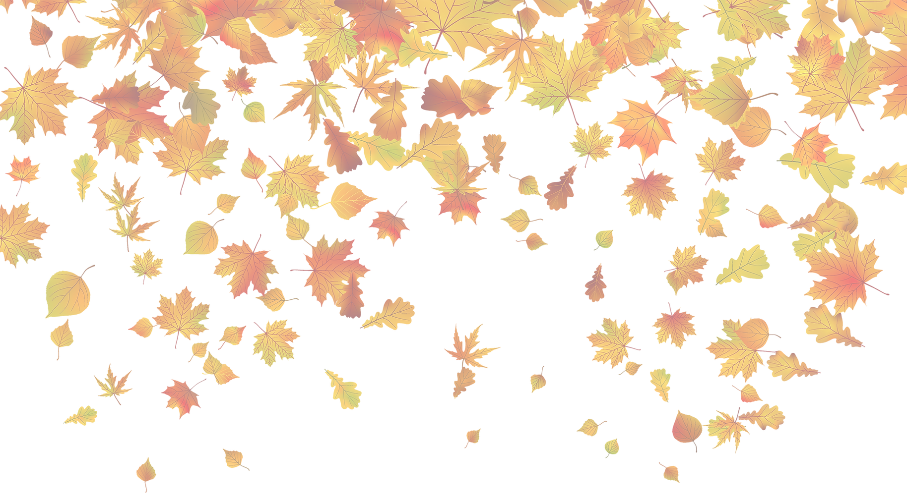 Transparent_Fall_Leaves_PNG_Clipart_Imag