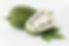 Soursop Juice