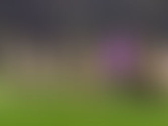 Reds Win In The Rain