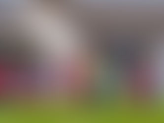 Reds Crack in Vase Defeat