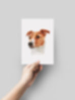 Thumbnail: Mini pet portraits