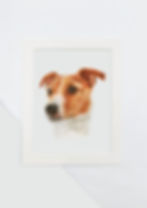 Thumbnail: Mini pet portraits