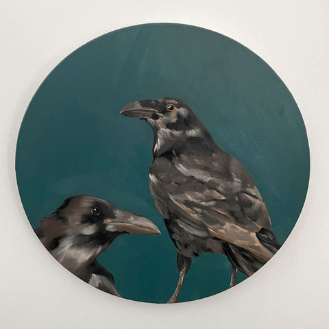 Crows & Ravens