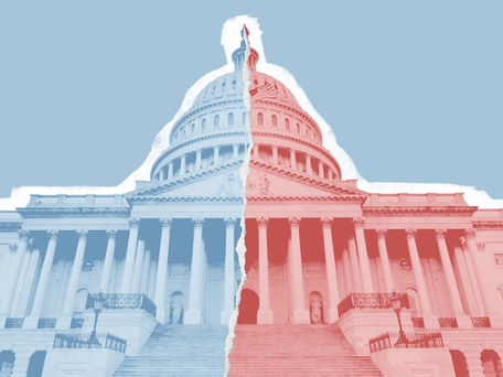 Things You Can Do To Flip Congress