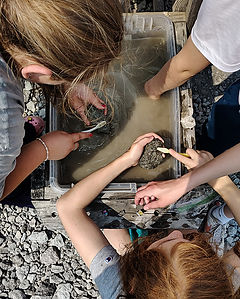 3.Cheboygan kids washing fossil rocks.jpg
