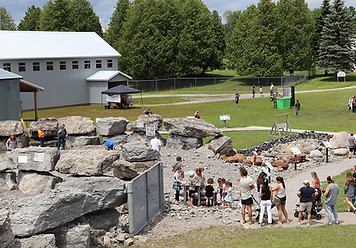 LCD-Fossil-Park_9949_web.jpg