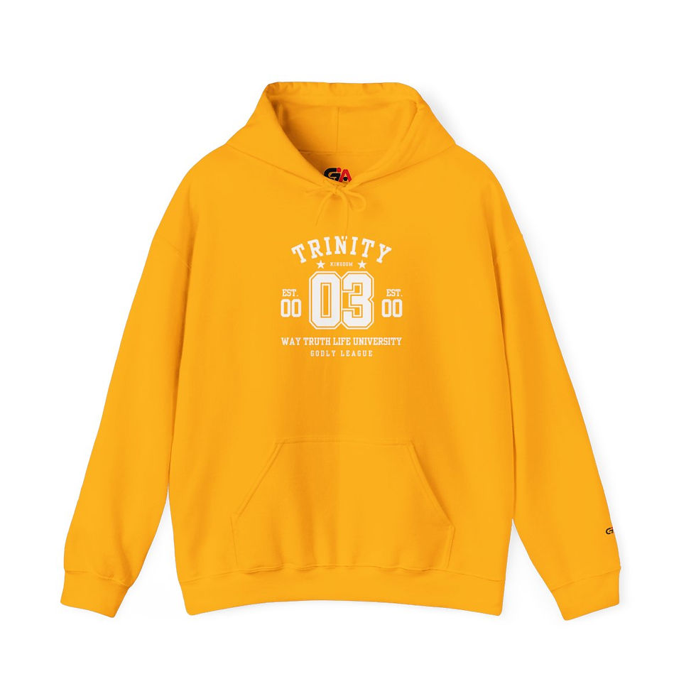 Thumbnail: Trinity Symbol-Way Truth Life Wear, Unisex Sweatshirt Hoody
