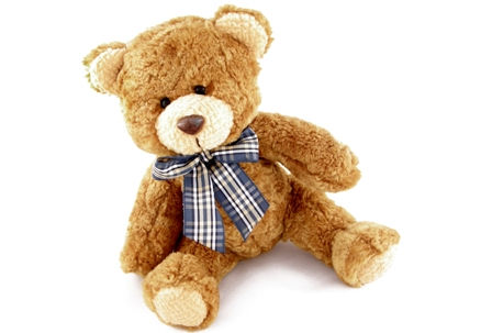 teddy (bramble).jpg