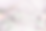 DeborahKroll_Selenite _PureWhite.png
