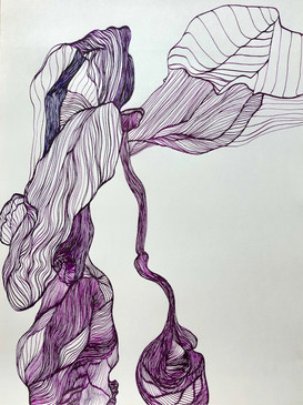 Dying Iris I