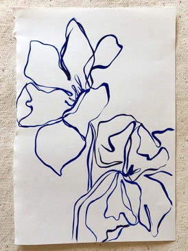 Tulip Study III