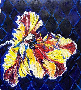 Parrot Tulip Peering In
