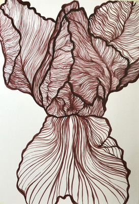 Iris X