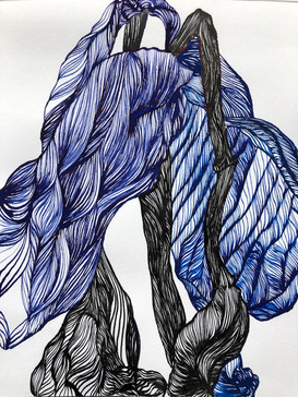 Dying Iris Study