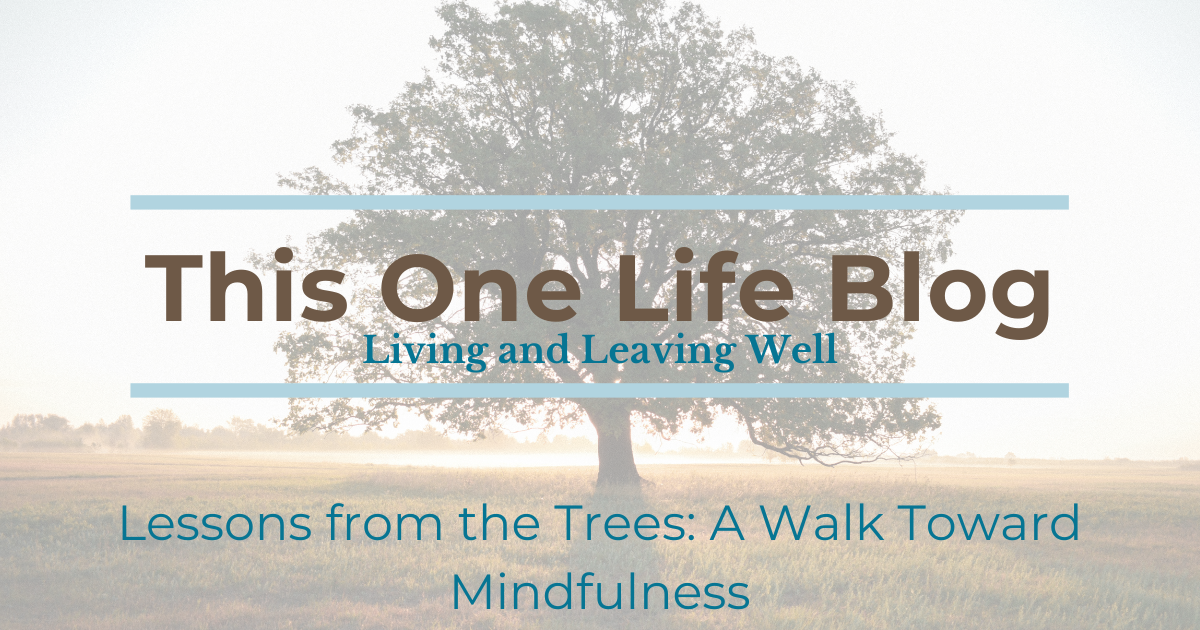Lessons from the Trees: A Walk Toward Mindfulness