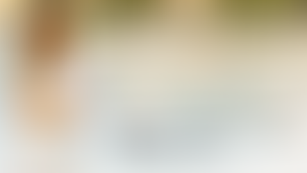 Del Caribe para Chile: Canal del Broker llega a La Red