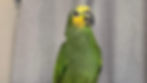thumbnail_image0_edited_edited.jpg