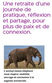 elephant.jpg