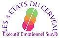 Cerveau Logo.png