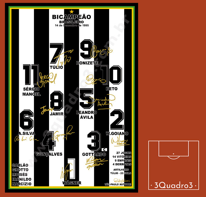 Botafogo - Bicampeão Brasileiro -1995