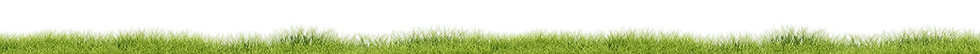 Group 162561.png