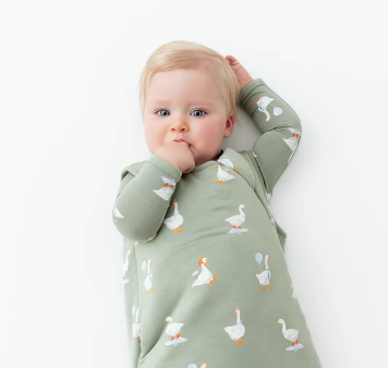 Silly Goose Sleep Bag 2.5 Tog | Kyte Baby