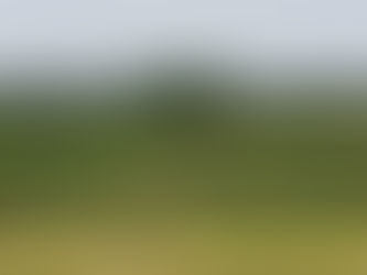 Eckholz 26. Juni '21 • Tiere erfolgreich vergrämt