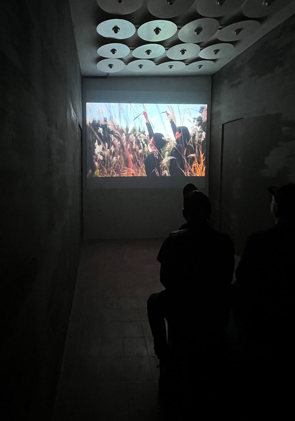 Hanae Utamura, Spring Water, Fault, Body
(2021), Install View, op.cit