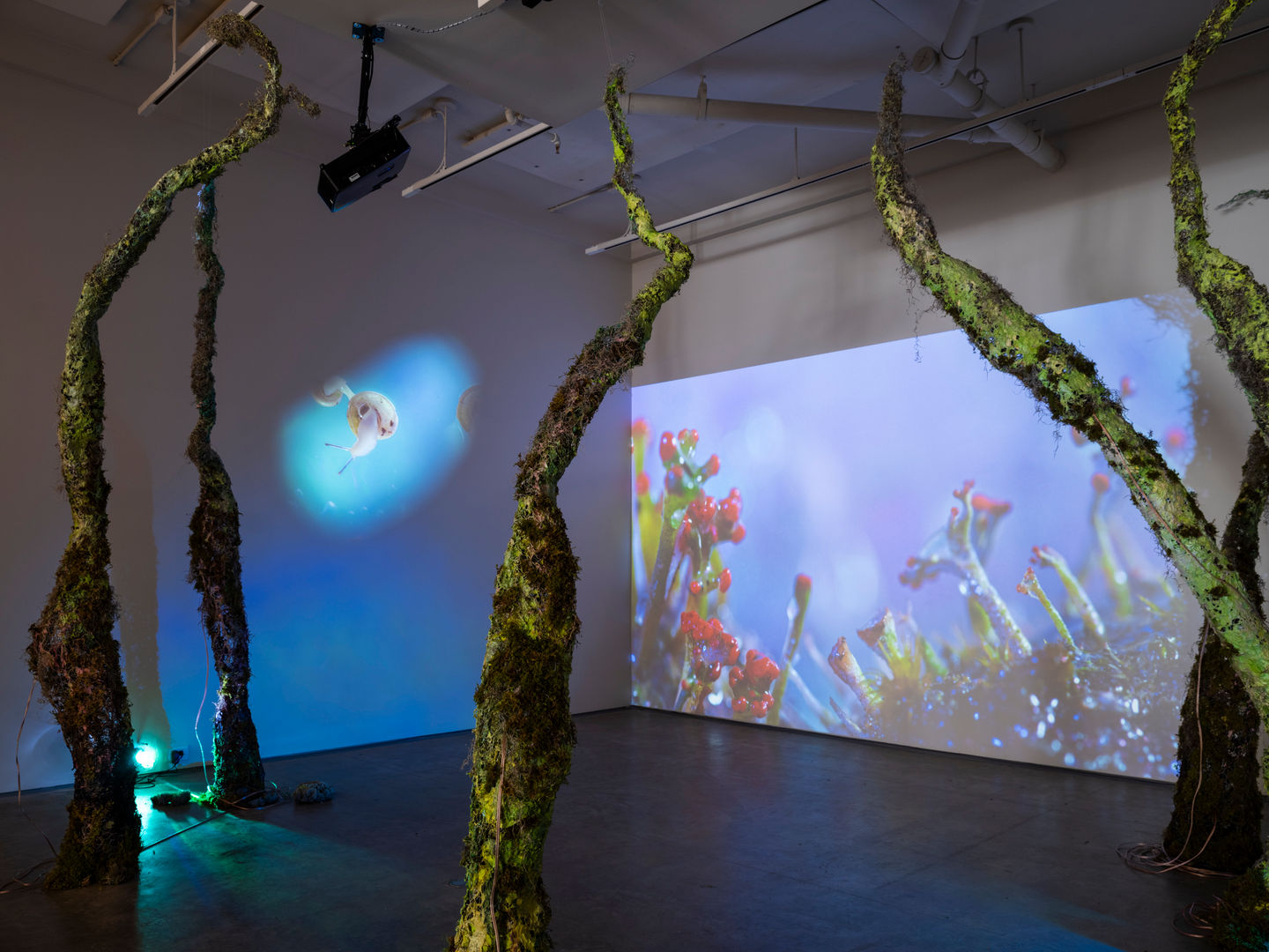 Katie Hubbell, "take care now"
Image courtesy of Flaneurshan.studio
