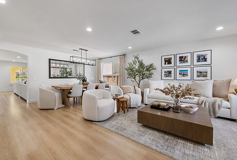 Living Room After Manasse Inc