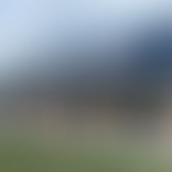 Toiture et panneaux solaires Wasquehal : rénover sa maison en alliant esthétique et performance énergétique