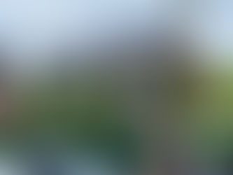 Rénovation d'une toiture en ardoises naturelles à Avelin (Pévèle-Weppes) – Un chantier signé Thierry Beghin