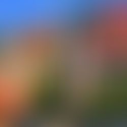 Rénovation de toiture en tuiles 44 Violine à Wasquehal : un chantier signé Thierry Beghin