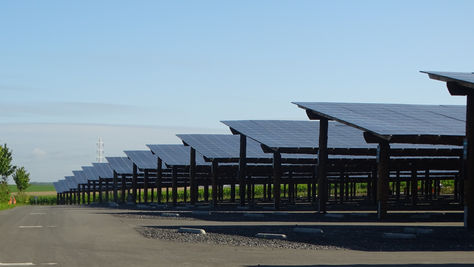 Tout ce que vous devez savoir sur les ombrières photovoltaïques dans le secteur agricole avec PHOTEOS 