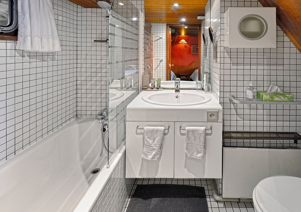 La Salle de bain avec Baignoire à bord du bateau le MS Elisabeth, situé à Namur