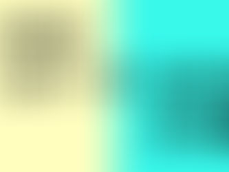 A bicolor screen with one yellow side and one blue side and the text "MTHFR C677T vs. MTHFR A1298C"