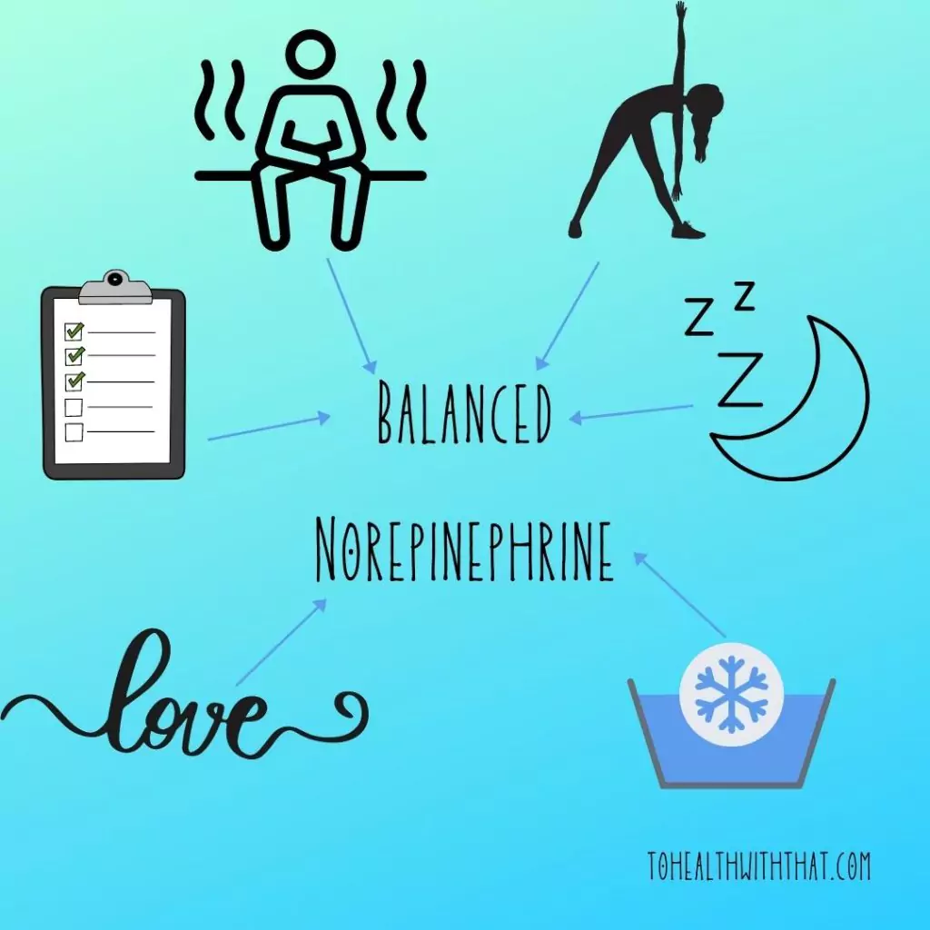 Norepinephrine and MTHFR genes are related