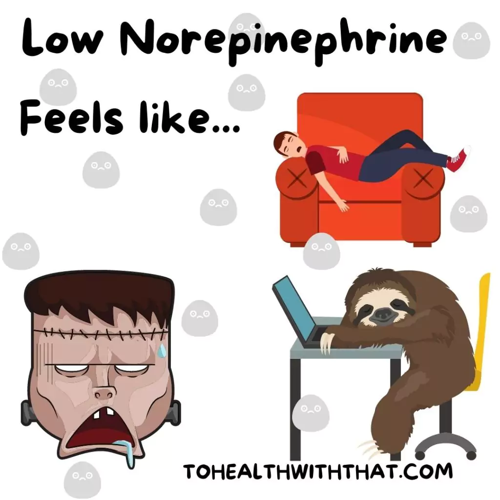 There is a relationship between the genes for norepinephrine and MTHFR