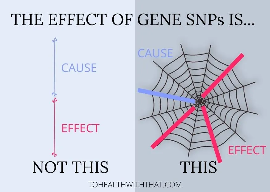SNPs associated with MTHFR and other genes