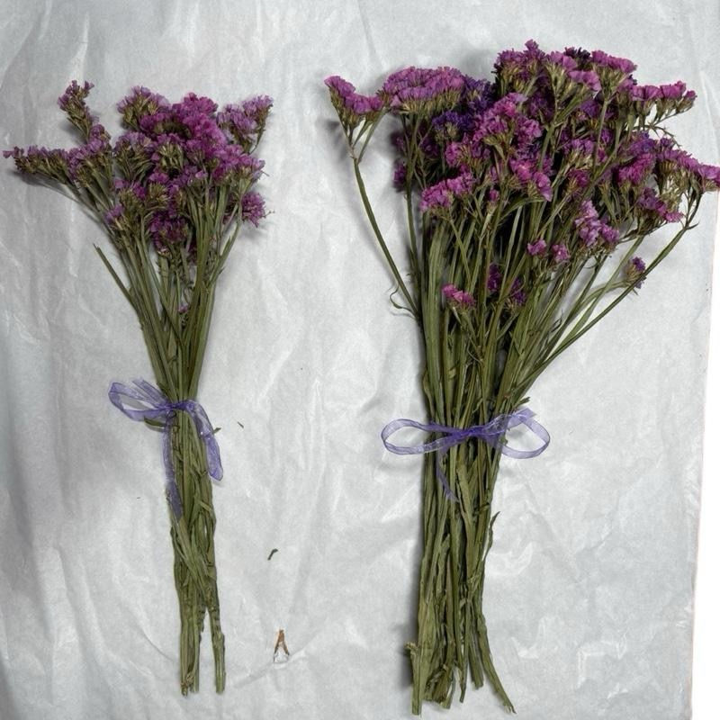 Thumbnail: Pink Statice Flowers for Hamsters 20g / 50g