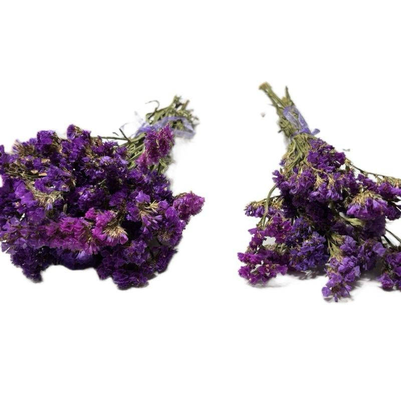 Thumbnail: Purple Statice Flowers for Hamsters 20g / 50g