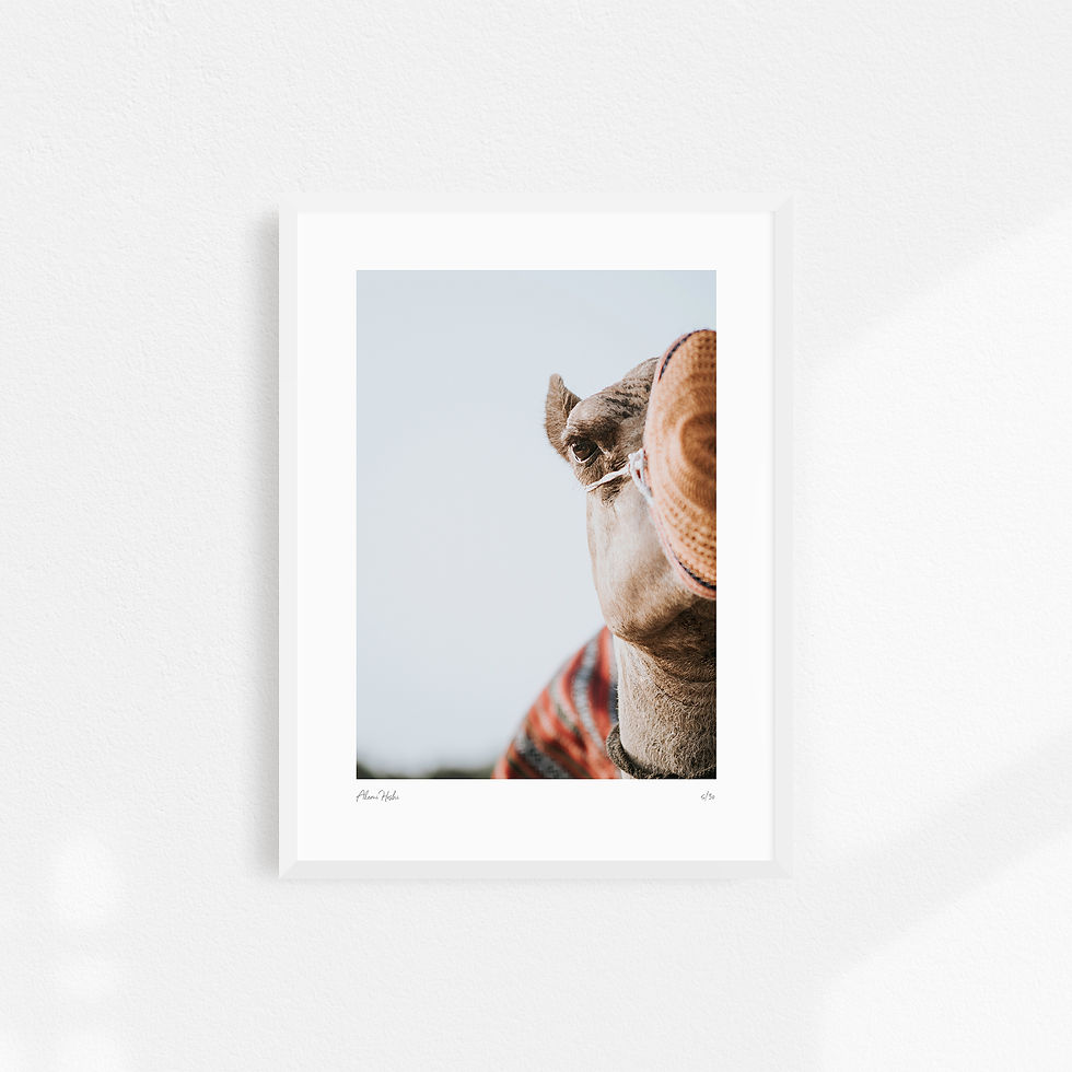 Thumbnail: Fine Art Print Camel by Akemi