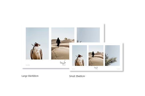 Montage sizes triptychs V2 LD.jpg